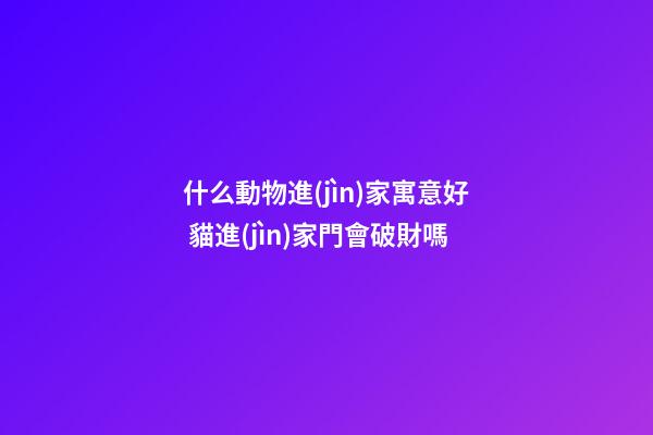 什么動物進(jìn)家寓意好 貓進(jìn)家門會破財嗎